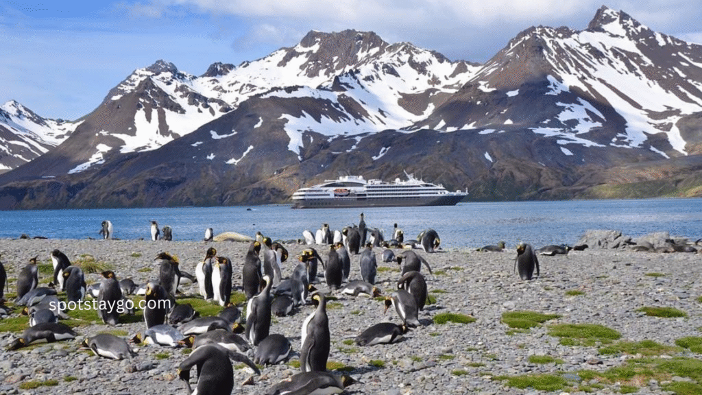 Top 20 Uncharted Places to Visit in Antarctica in 2025