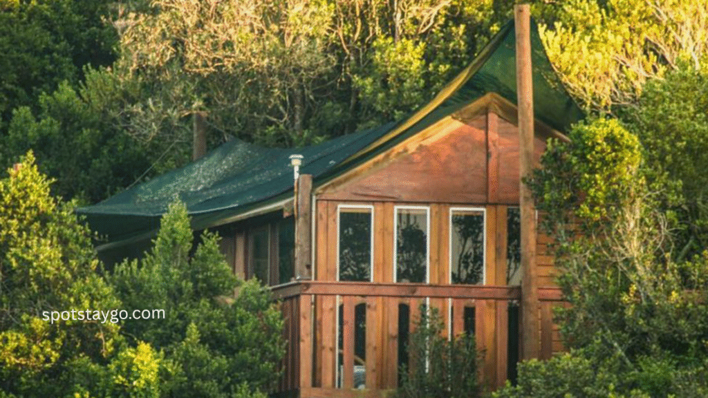 Places to visit in South Africa for couples in 2025