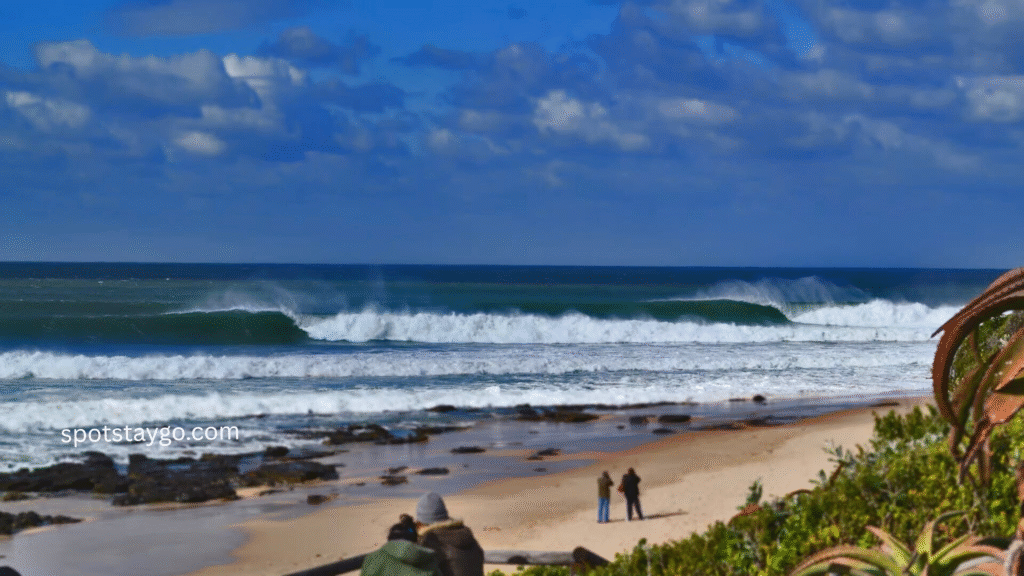 The perfect 7 days South Africa tour