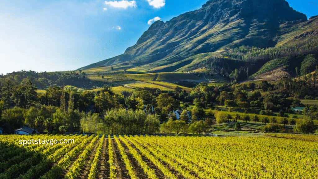 Places to visit in South Africa for couples in 2025