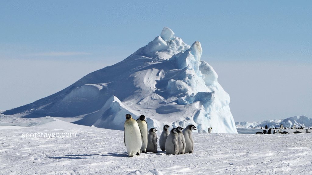Top 20 Uncharted Places to Visit in Antarctica in 2025