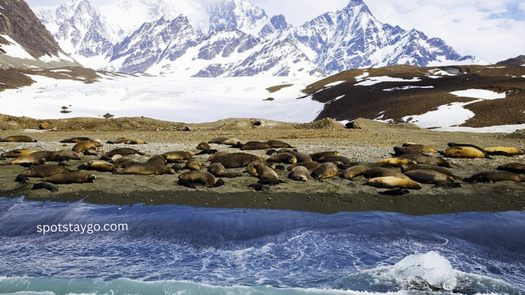 Top 20 Uncharted Places to Visit in Antarctica in 2025