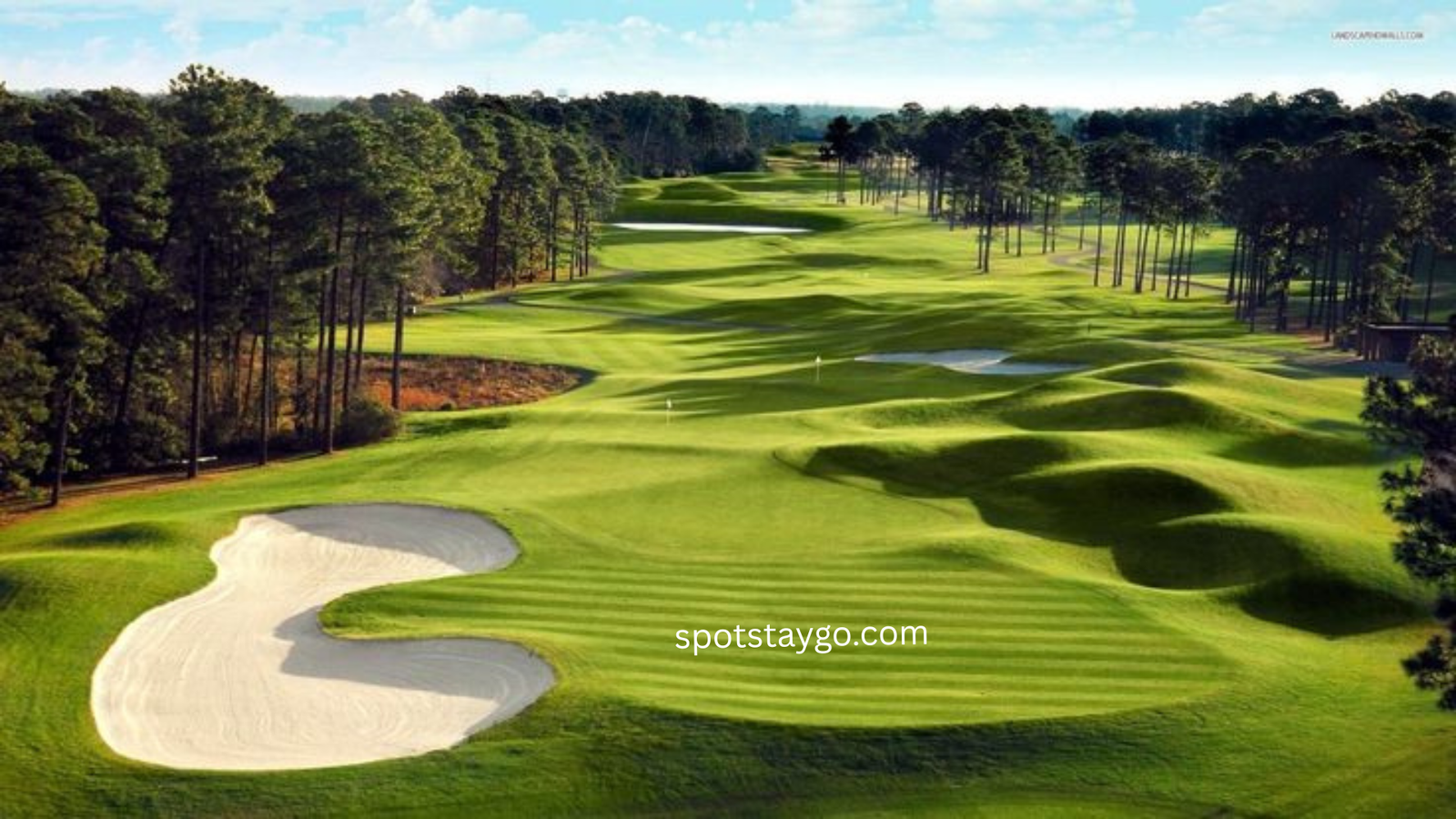 The perfect 7 days South Africa tour
