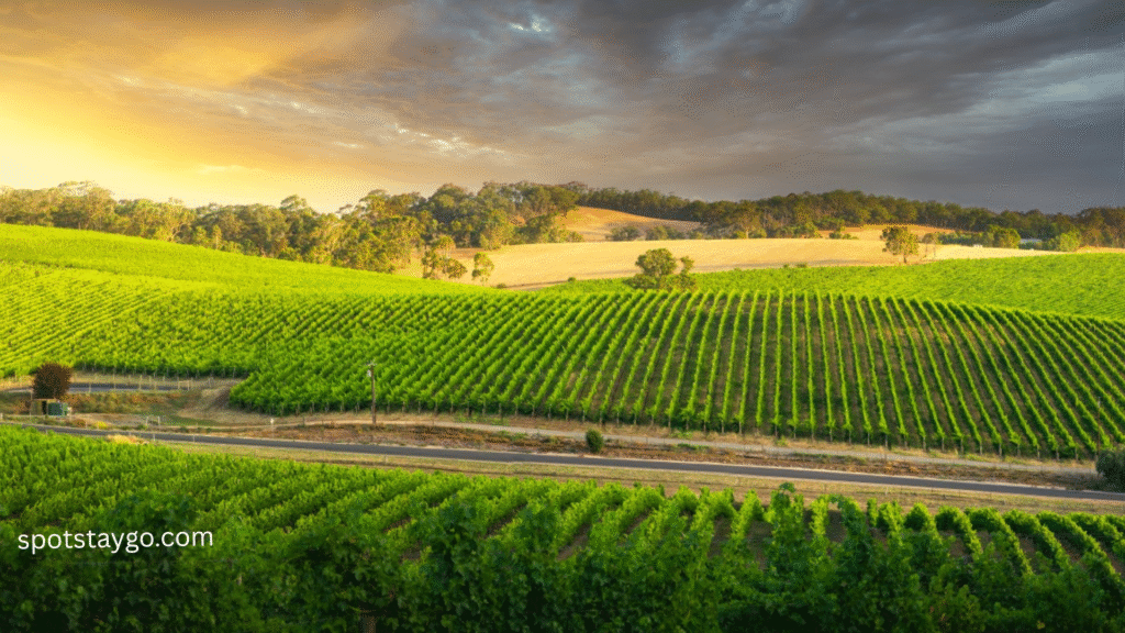 Epic Travel Destinations in Australia 2025