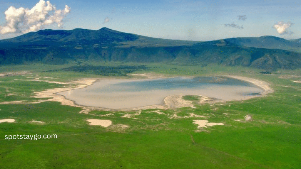 Tanzania Safari for Families in 2025