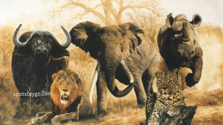 Tanzania Safari for Families in 2025