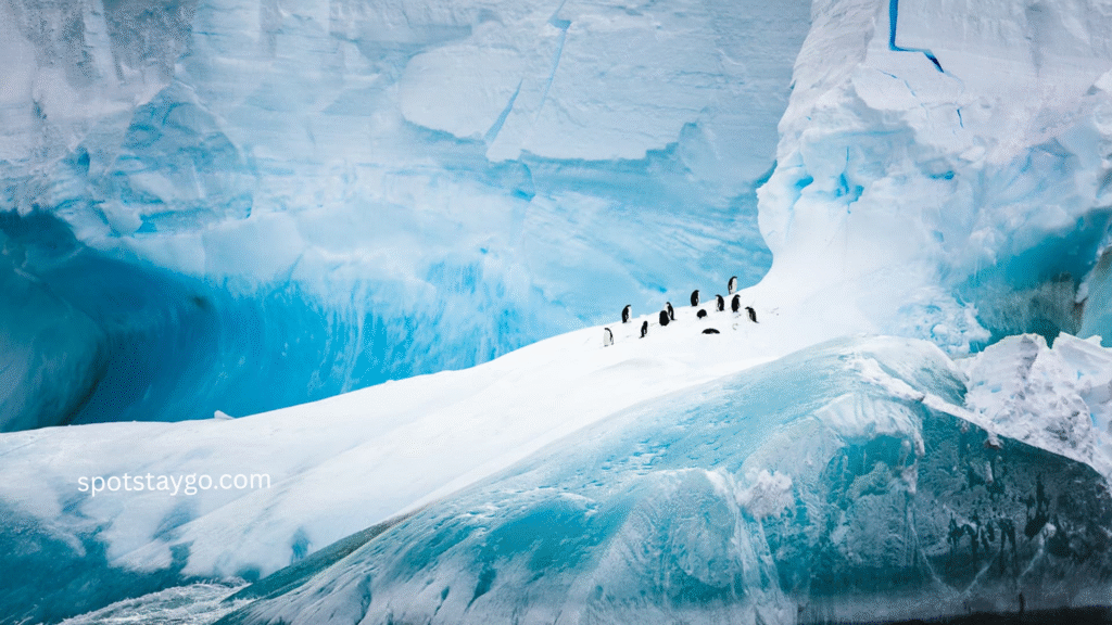 Top 20 Uncharted Places to Visit in Antarctica in 2025