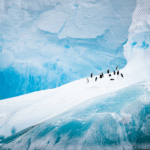 Top 20 Uncharted Places to Visit in Antarctica in 2025