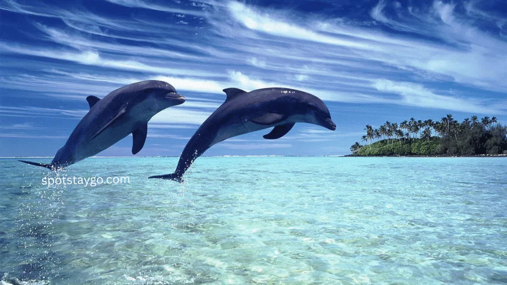 Places to visit in South Africa for couples in 2025