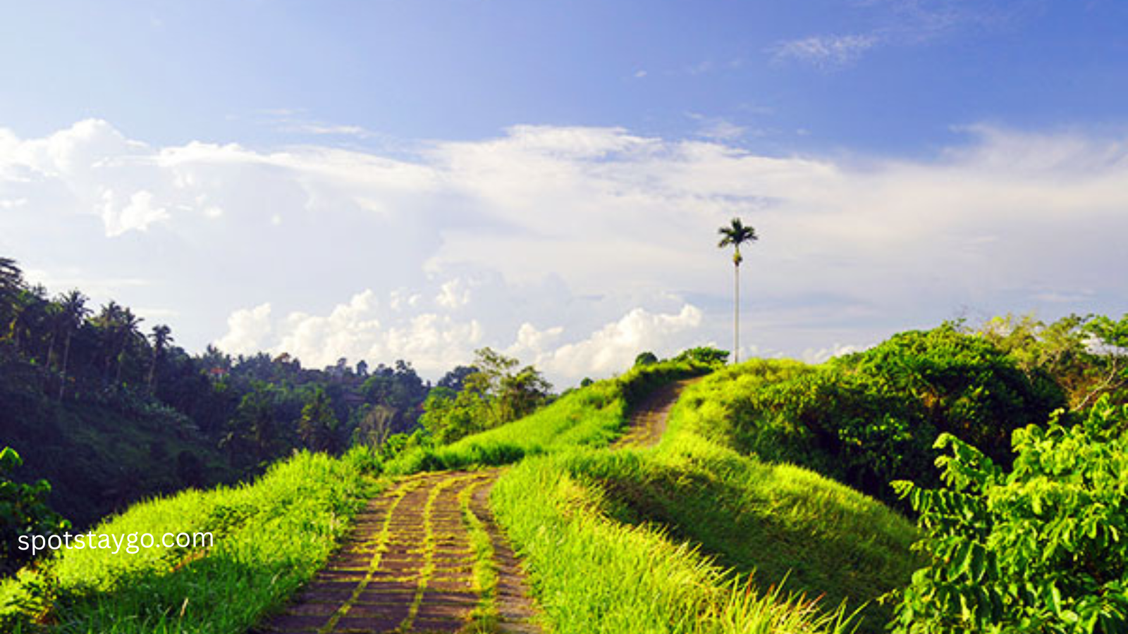 Magical Best Places to Visit in Bali 2025