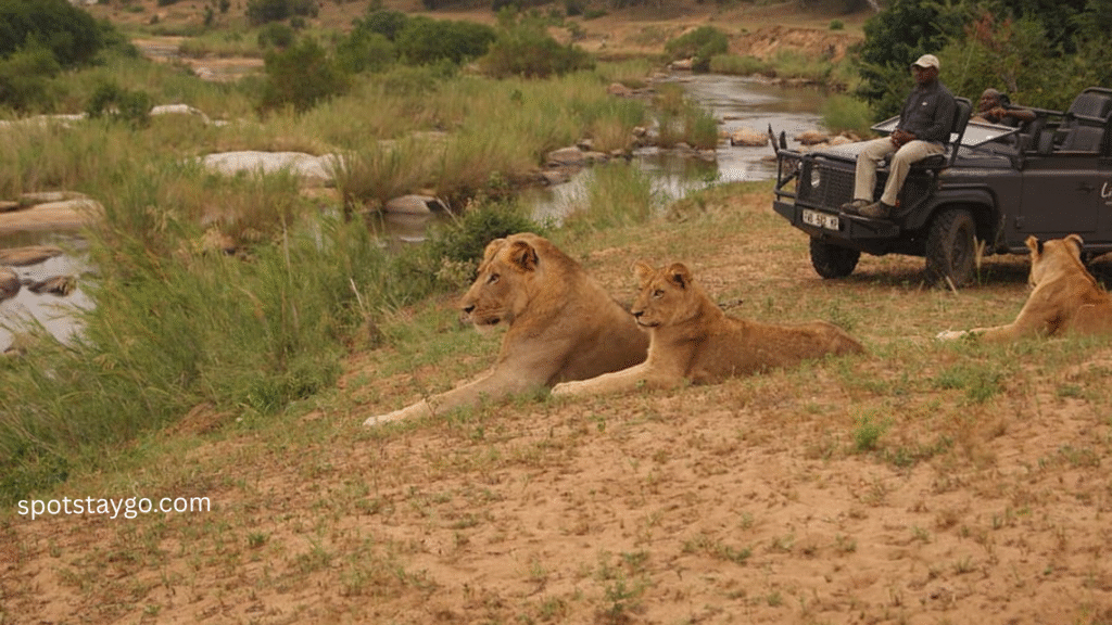 South Africa Safari Supreme 2025